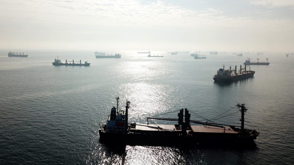 Zarparon de Ucrania seis buques con cereales tras la vuelta de Rusia a un acuerdo clave