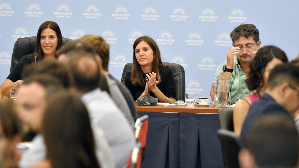 De qué se trata el proyecto para que 800 mil personas puedan jubilarse con menos aportes