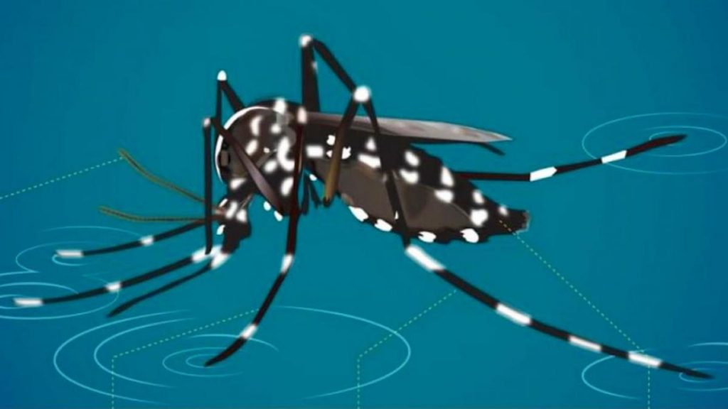 Los detalles de la vacuna contra el Dengue, la «esperanza» para prevenir la enfermedad