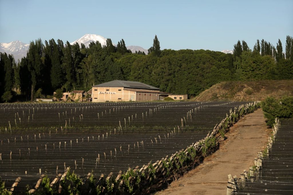 Con créditos blandos, Mendoza impulsa la eficiencia energética en el agro